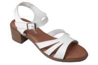 Lily white by Apollo Bay