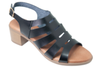 Lincoln black by Apollo Bay