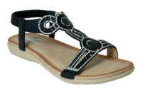 Swan black by Kirra Beach