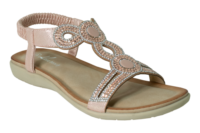 Swan rose by Kirra Beach